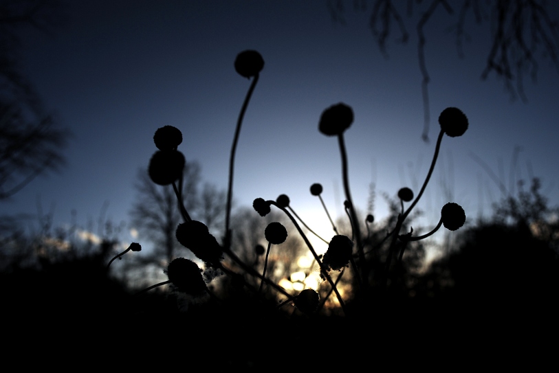 sonnenuntergang11 09w3
