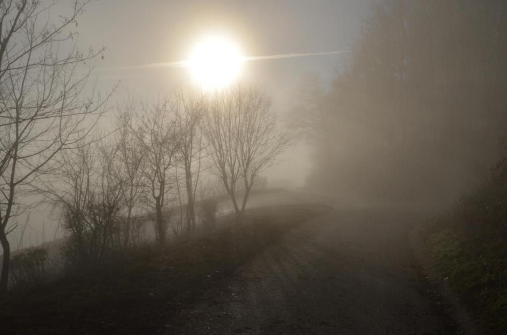 Sonniger Nebel