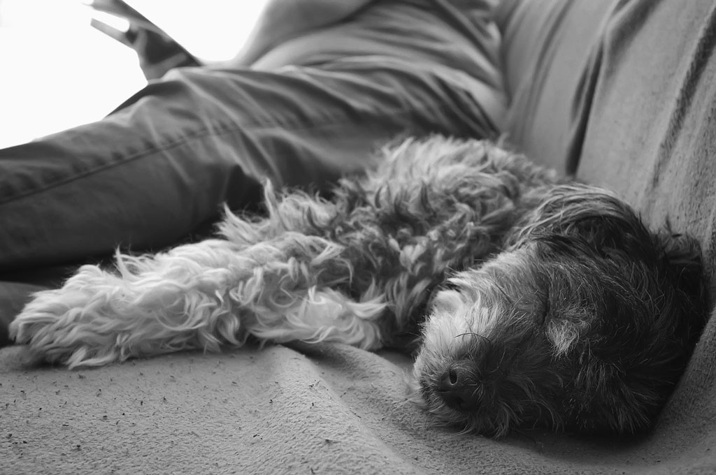 sonntag sofa