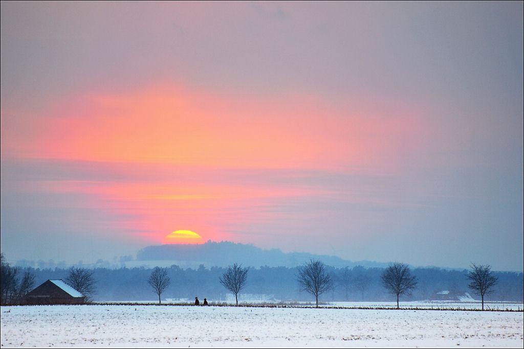 Sonntagabend 31.01.10 /2