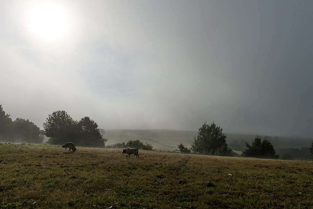 Sonntagmorgen
