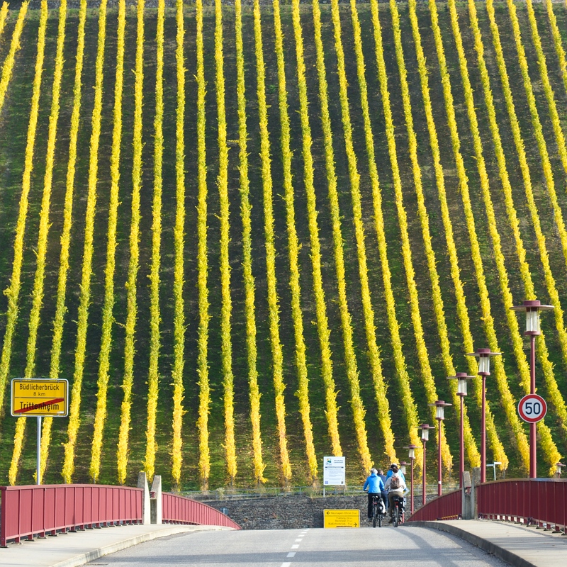Sonntagsspaziergang comp