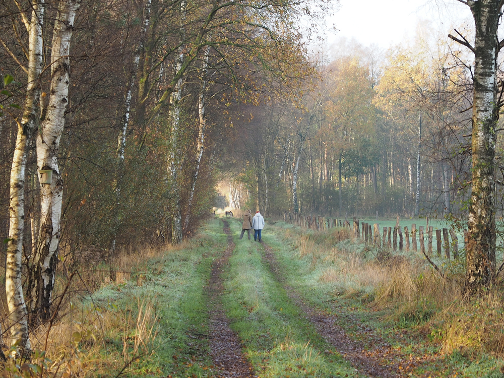Sonntagsspaziergang.jpg