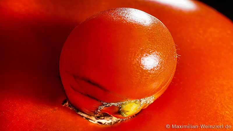 SONYQX1©MaximilianWeinzierlTT