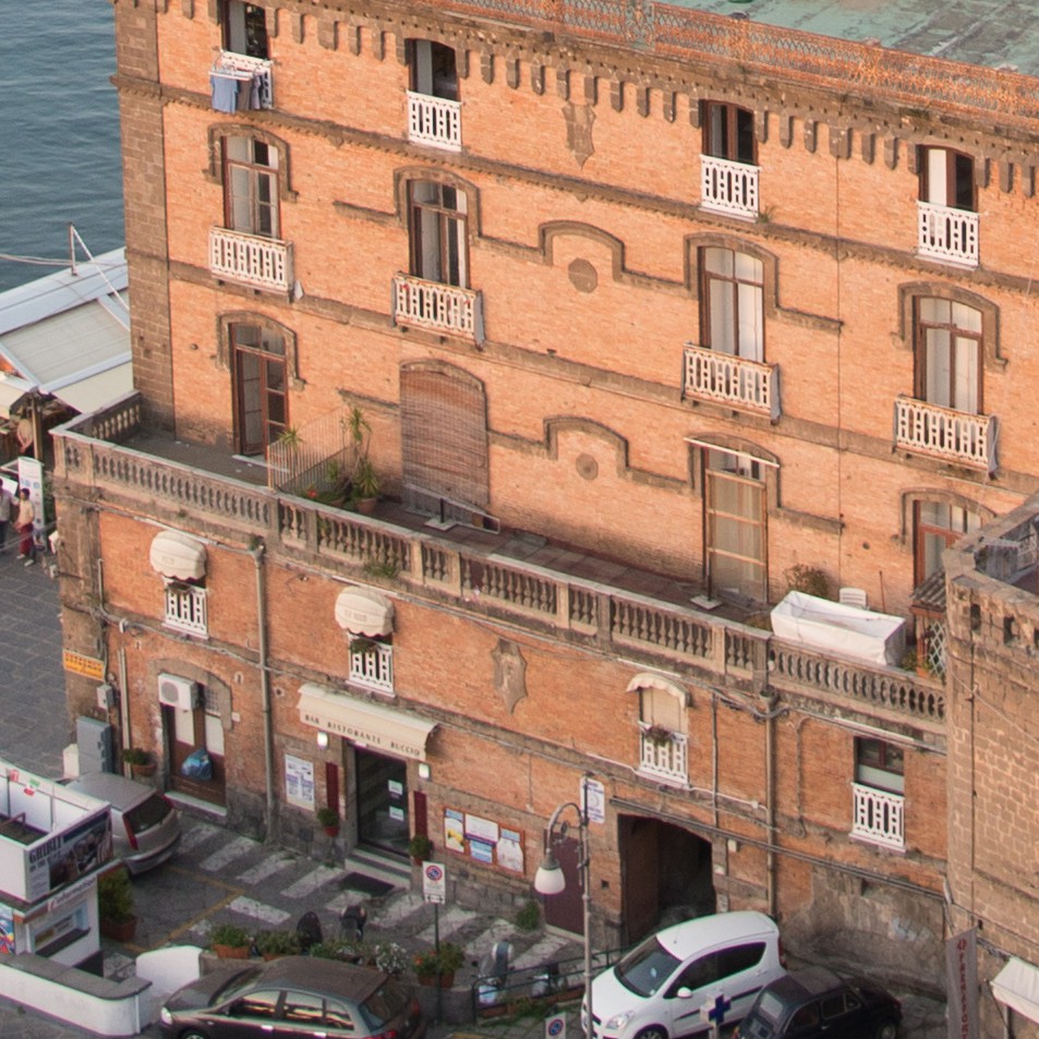 Sorrento Crop