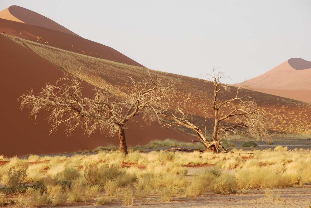 sossusvlei dunen