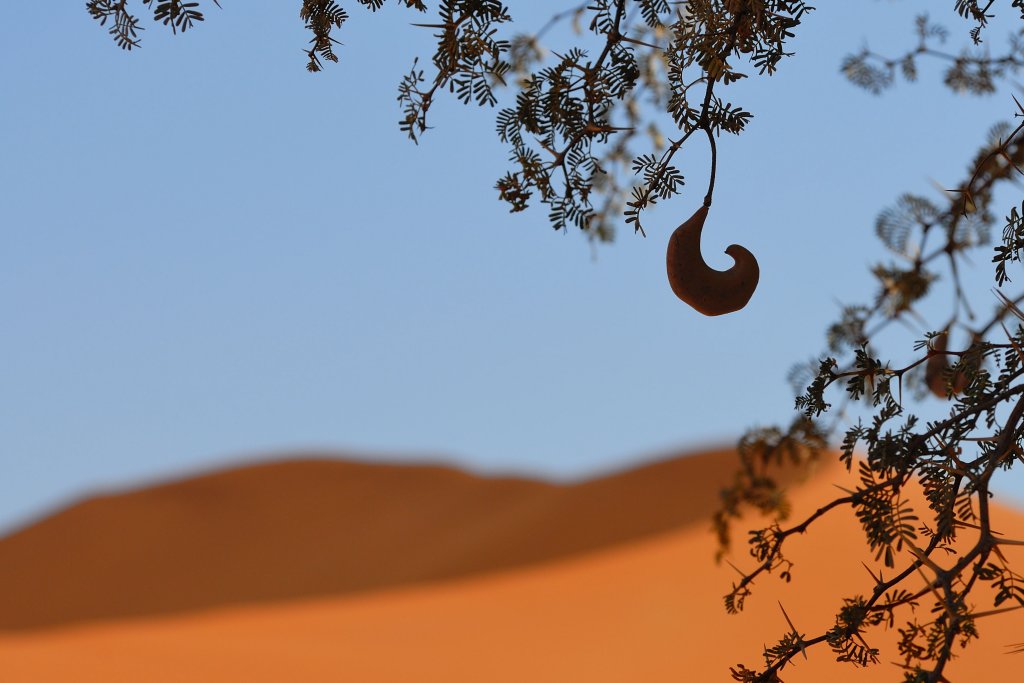 Sossusvlei, Namibia