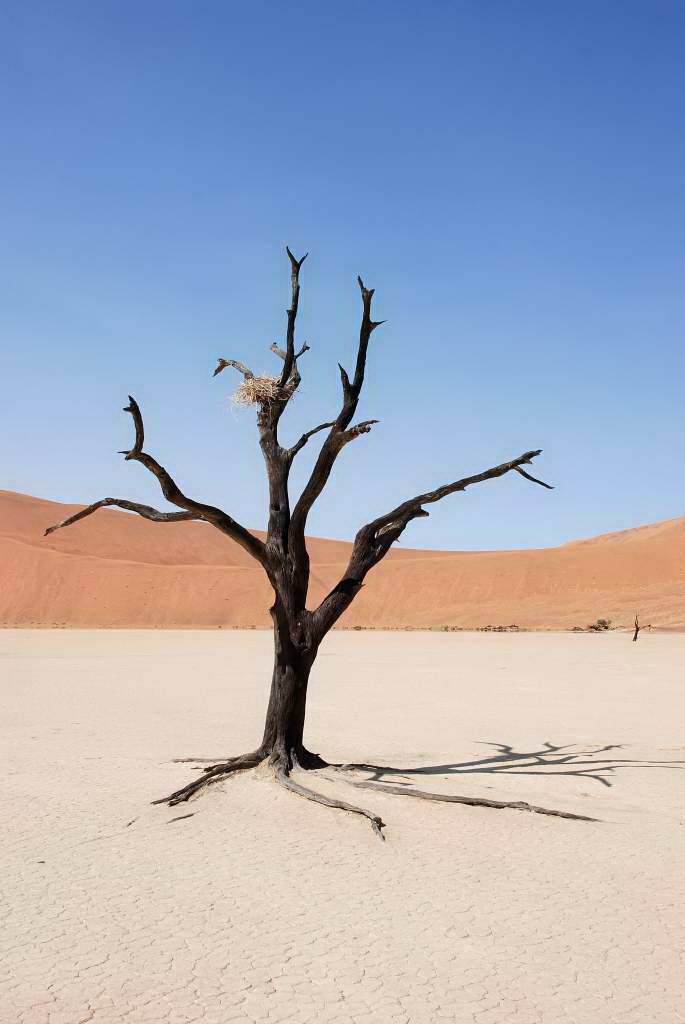 Sossusvlei