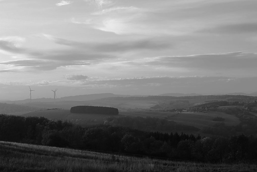 spätes Licht 2412