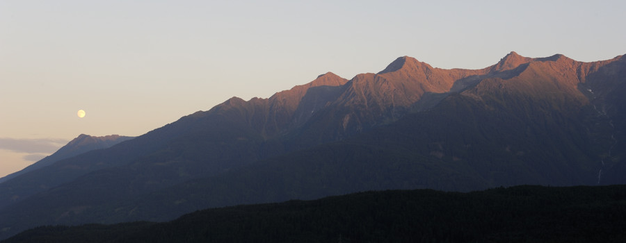 sp austria20100009