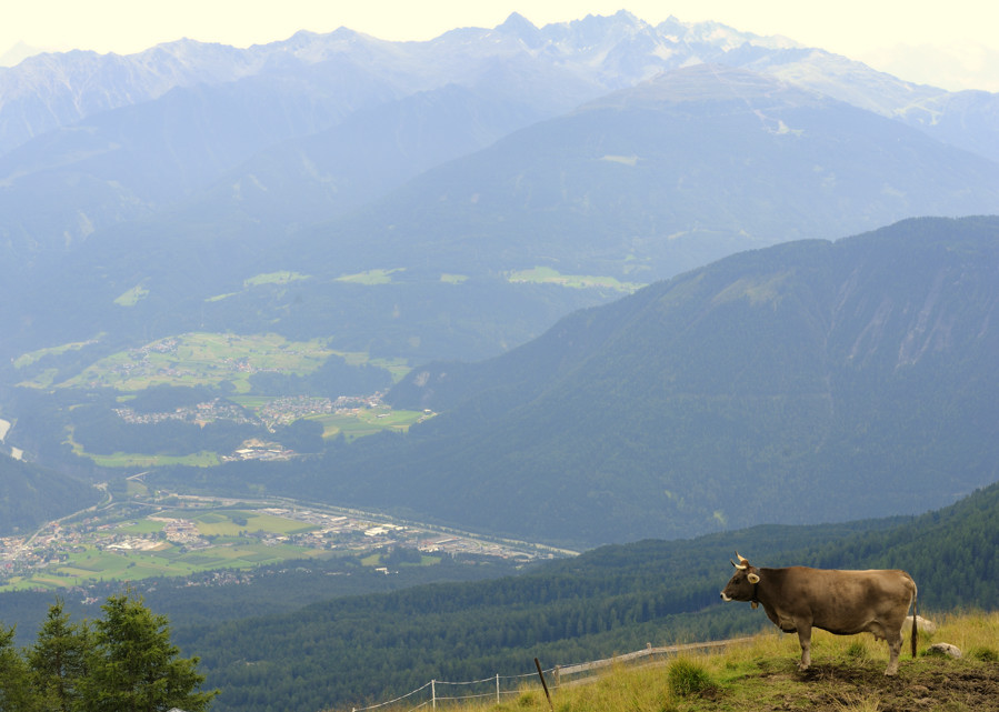 sp austria20100018