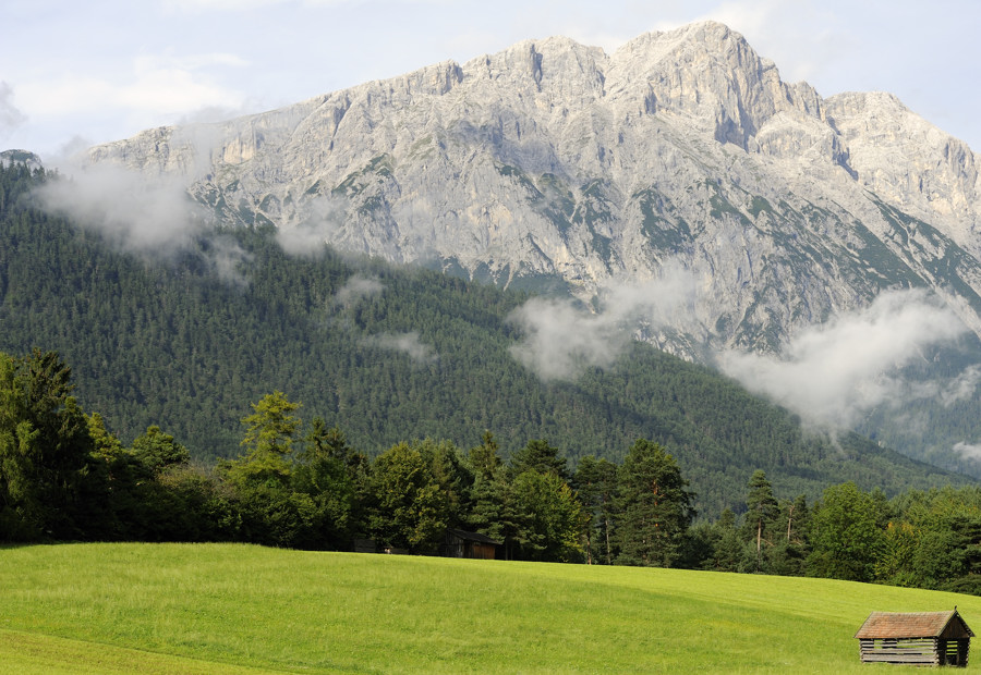 sp austria20100029