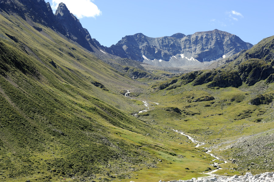 sp austria20100045