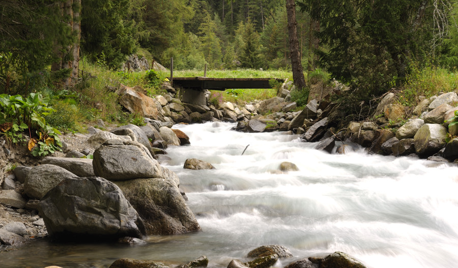sp austria20100058