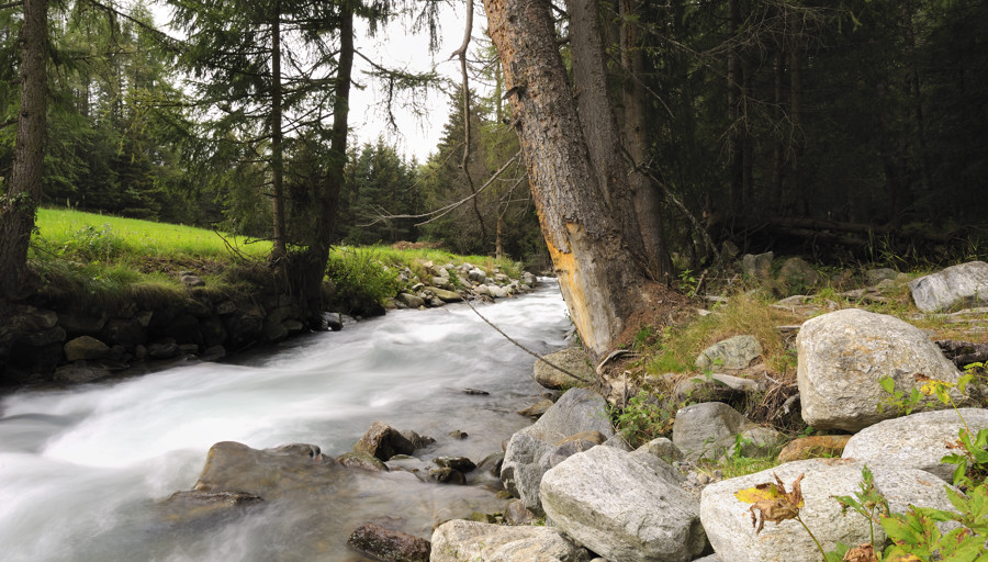 sp austria20100059