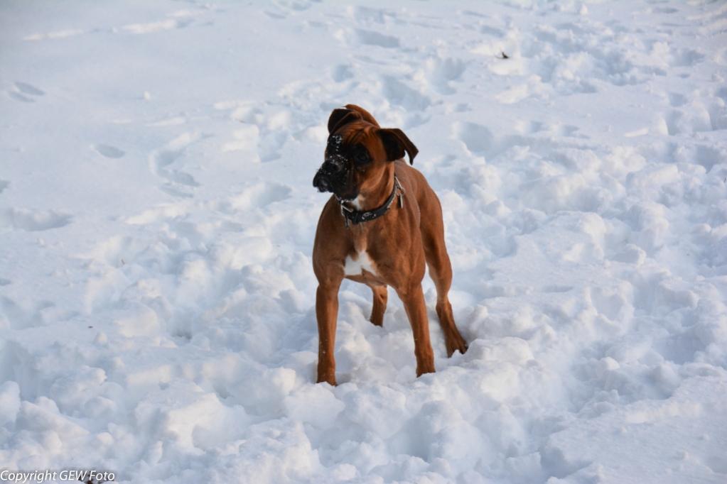 Spaß im Schnee