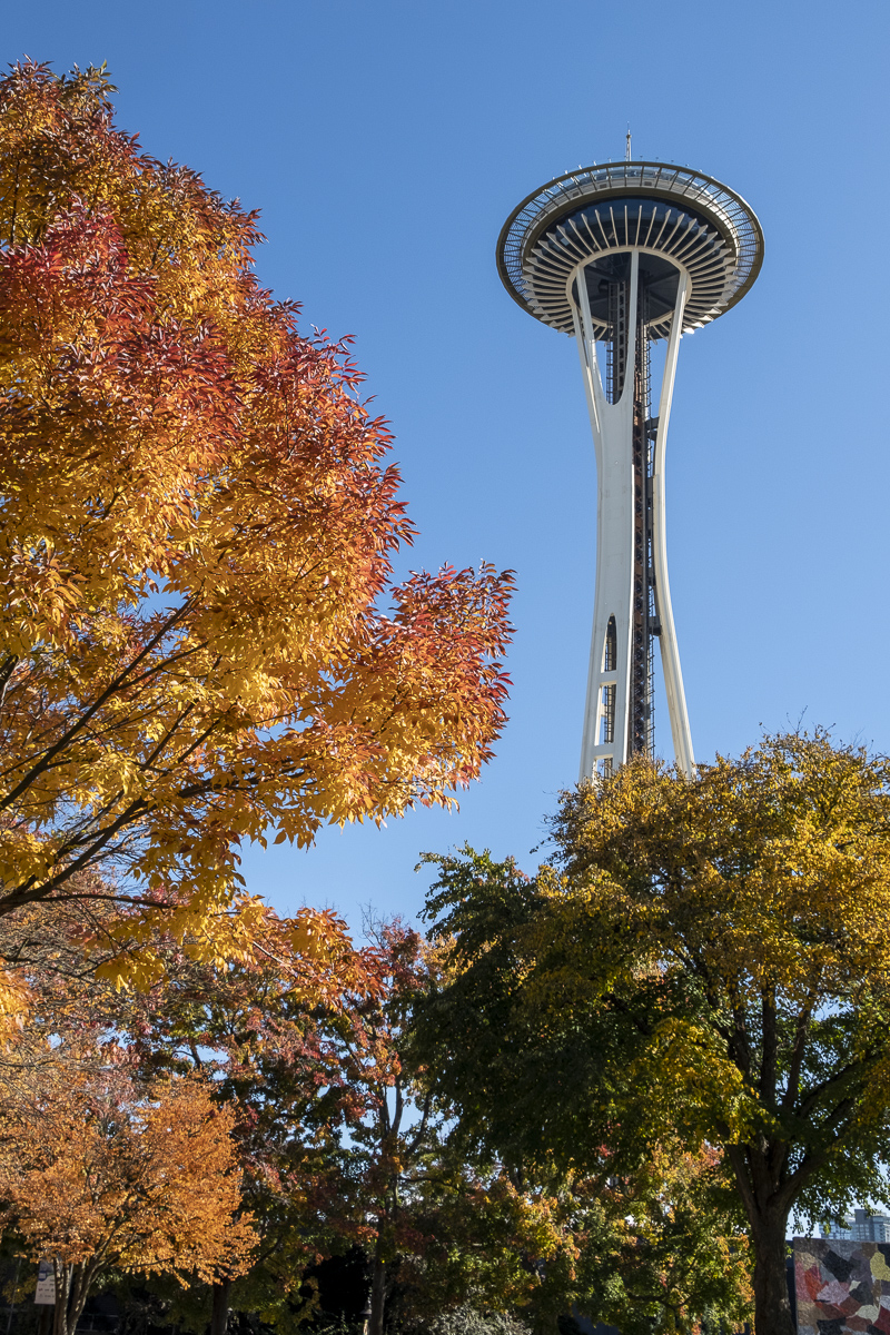 Spaceneedle.jpg