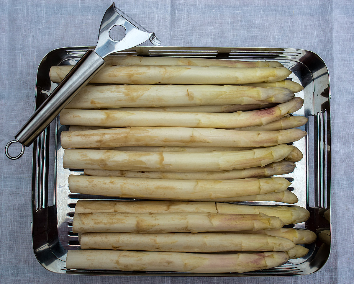 Spargel