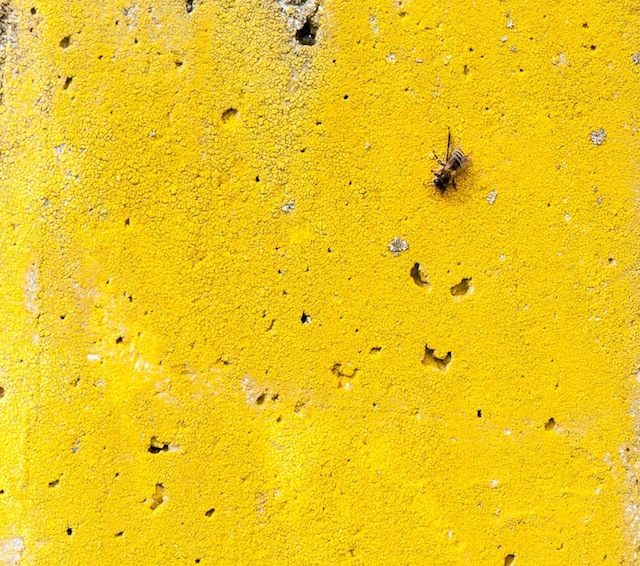 Spaziergang 14