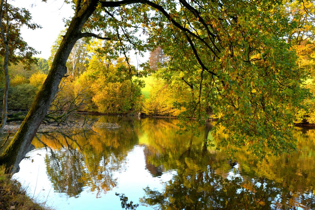 Spaziergang im Herbst