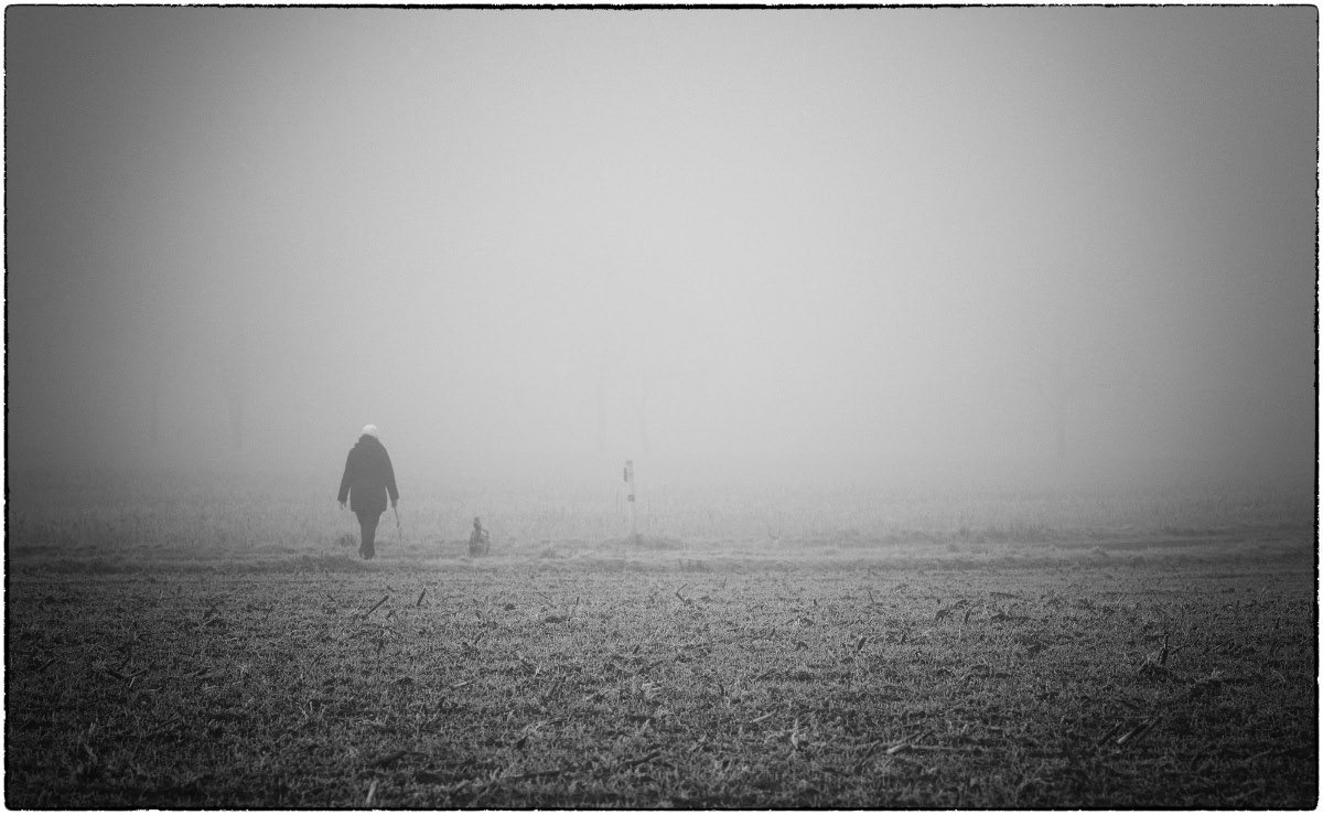 Spaziergang im Nebel BW.jpg