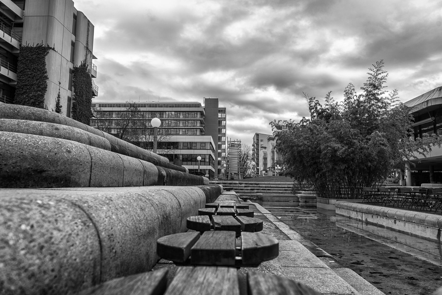 Spaziergang im Neuenheimer Feld (Uni) Heidelberg, Dez. 2013