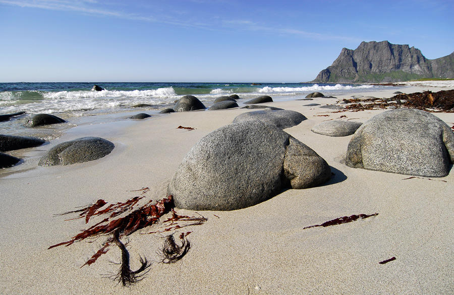 SPE 5666neu900