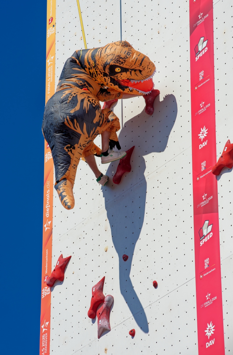 Speed-Climbing II.jpg