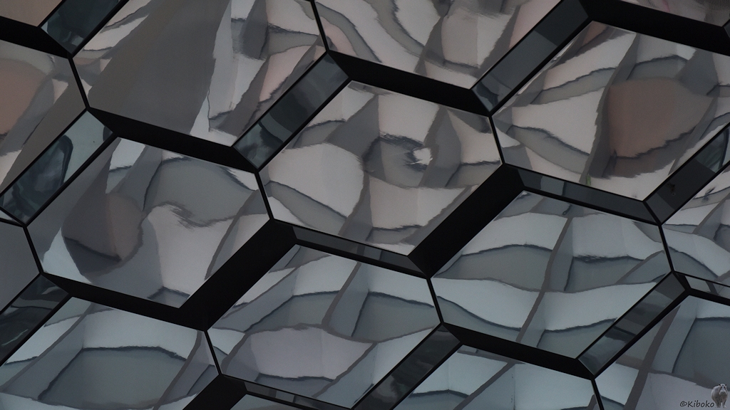 Spiegeldecke, Harpa, Reykjavík
7635