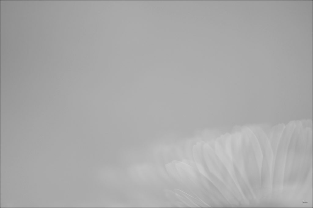 SpiegelDSC 5019