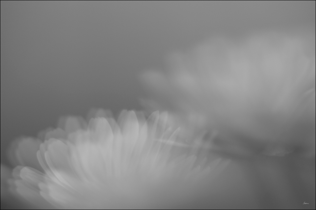 SpiegelDSC 5023