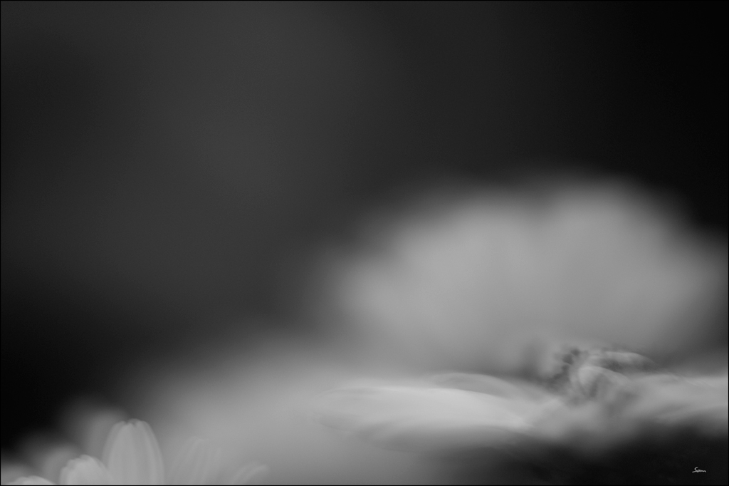 SpiegelDSC 5025