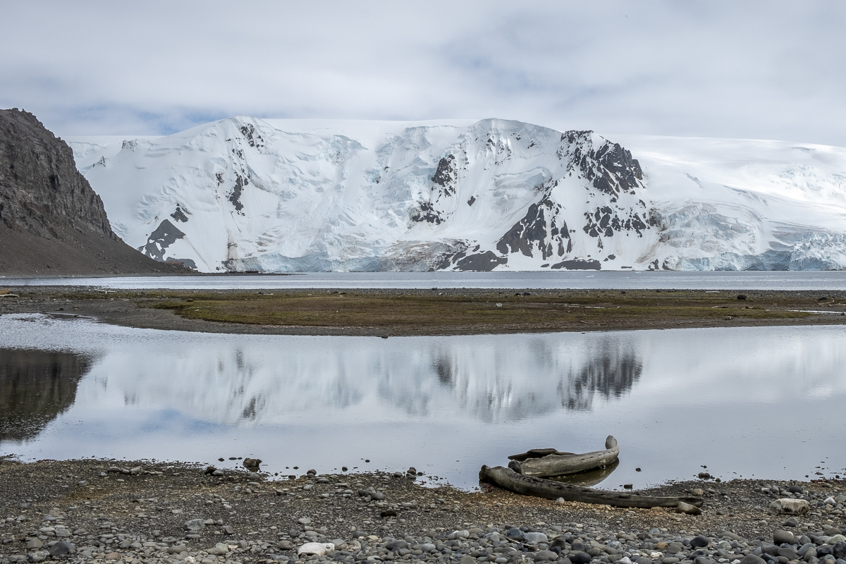 Spiegelung King George