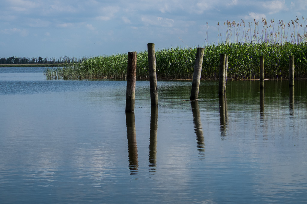 spiegelung pfähle