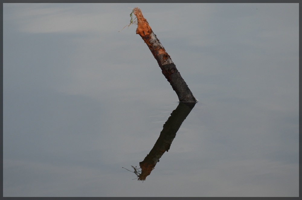 Spiegelung#