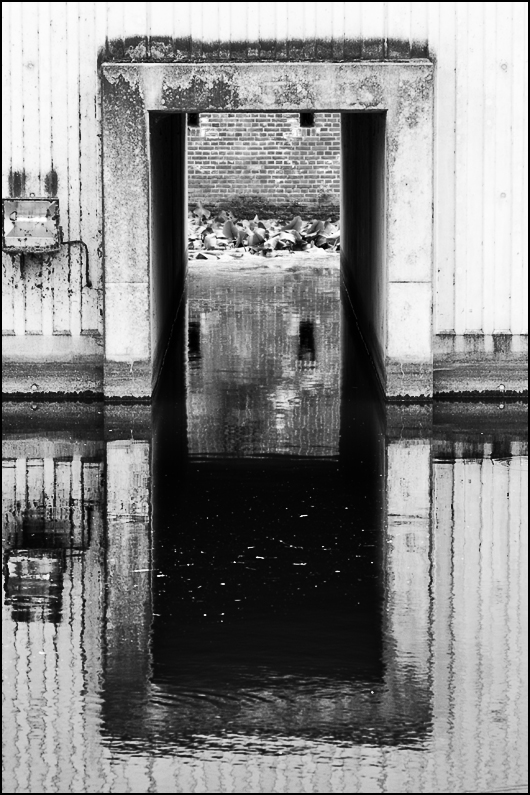 Spiegelung
