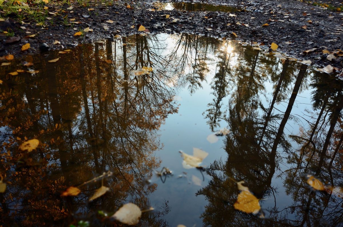 Spiegelung
