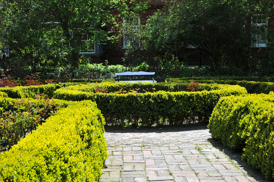Spiekeroog, Rosengarten.jpg