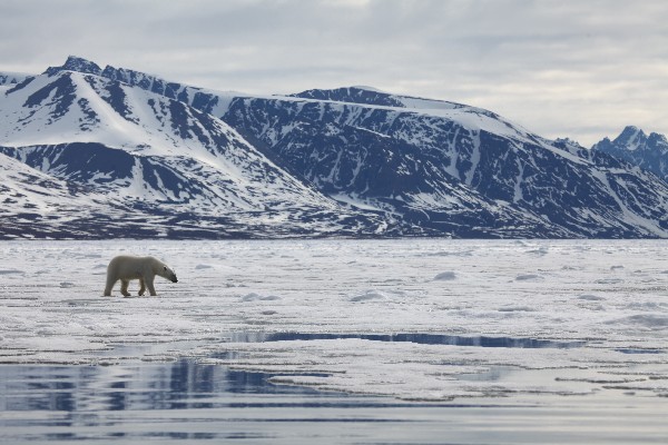 Spitzbergen 2011 JE 04836