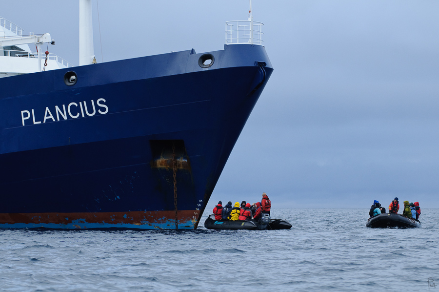Spitzbergen 2012 SPE 3821 NFF