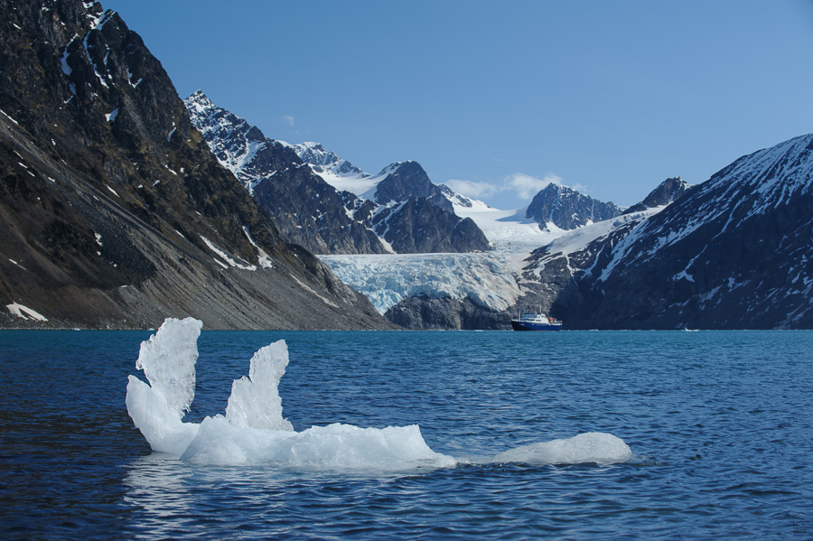 Spitzbergen 2013 SPE 06 0485 NFF