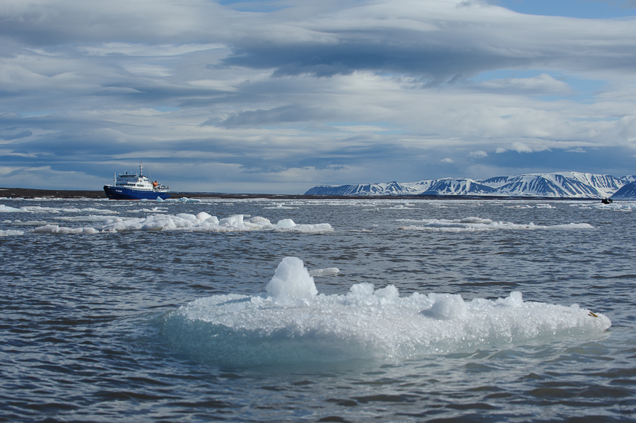 Spitzbergen 2013 SPE 06 0715 NFF