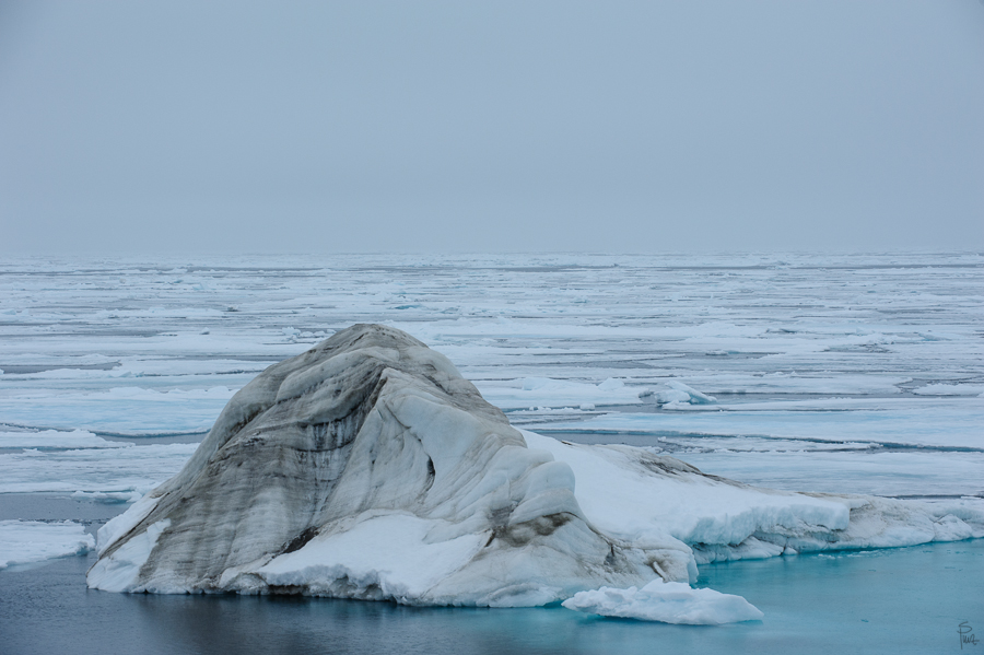 Spitzbergen 2013 SPE 06 2619 NFF