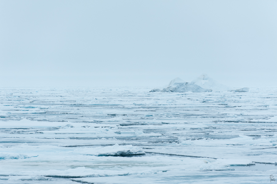 Spitzbergen 2013 SPE 06 2668 NFF
