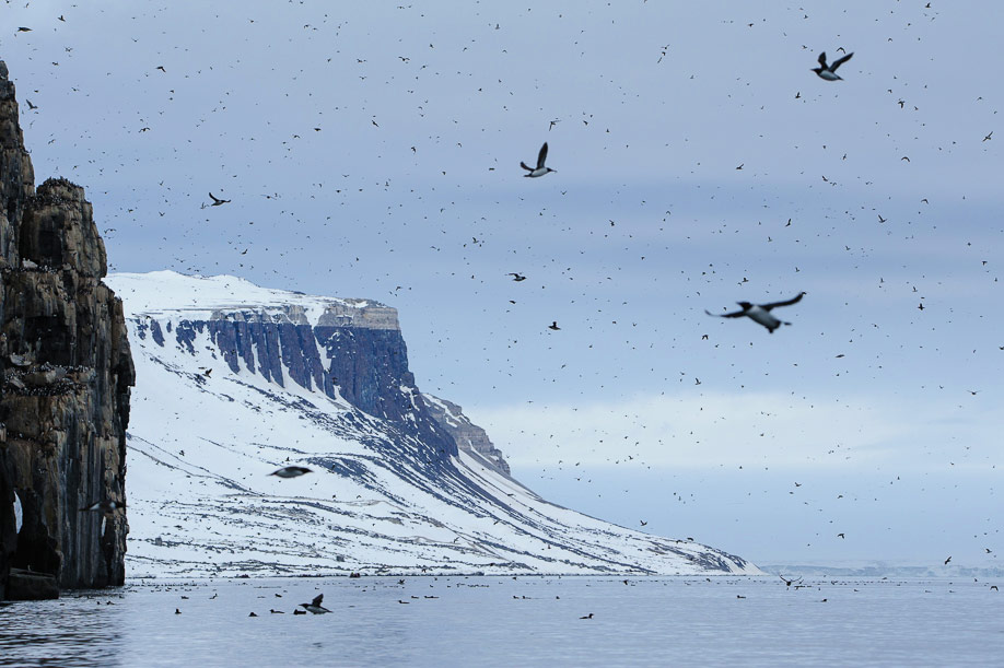 Spitzbergen 2015 SPE 13 DSC4140