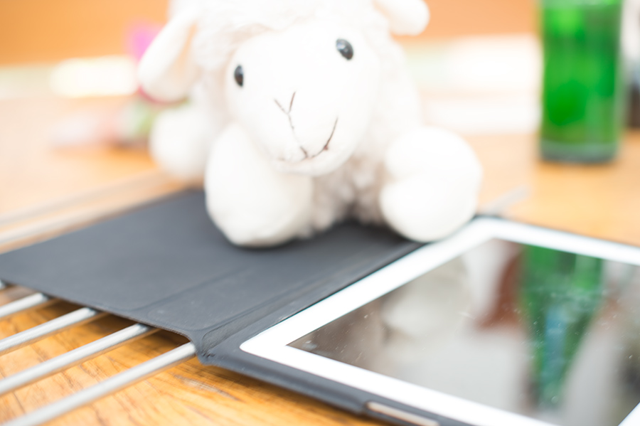 spot schaf3