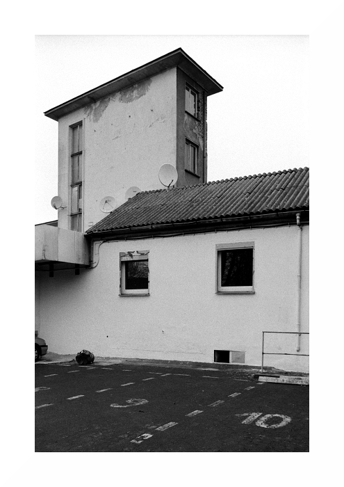spot