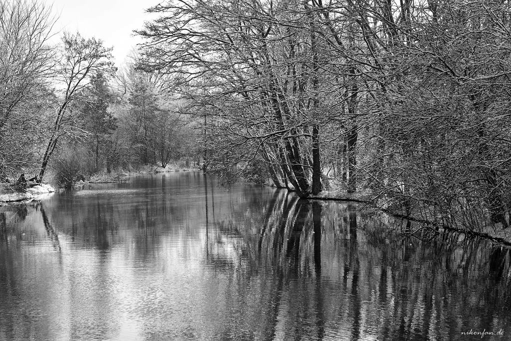 Spree Winter