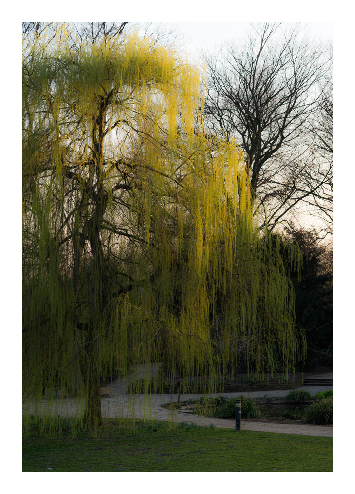 spring2