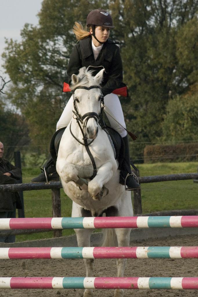 Springreiten 01